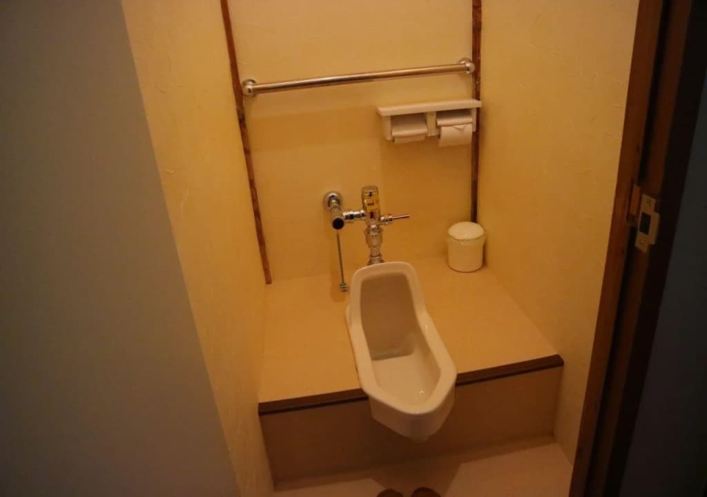 Ryokan Sansuiso - photo 8