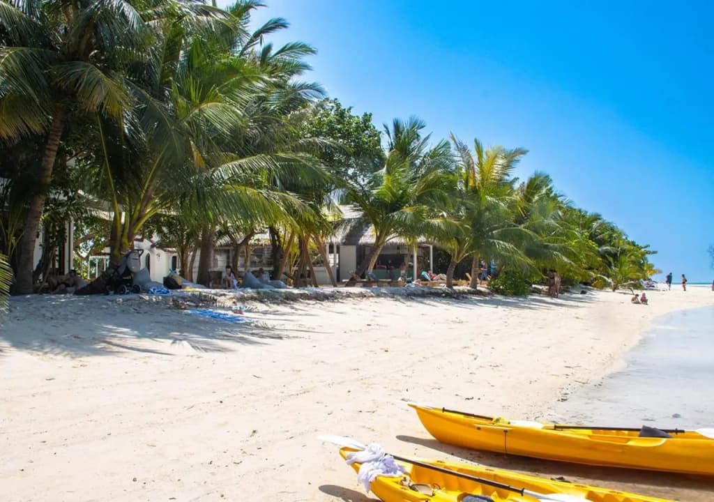 Stone Hotel Dhiffushi - photo 22