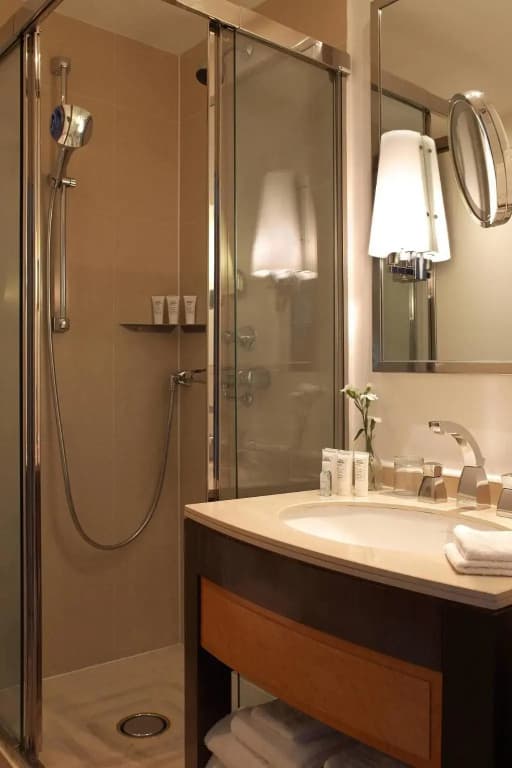 Renaissance Paris Vendome Hotel - photo 10