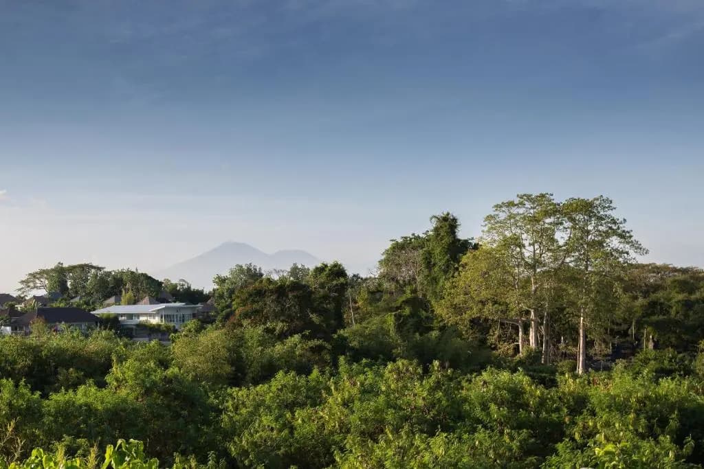 Pande Homestay - photo 15