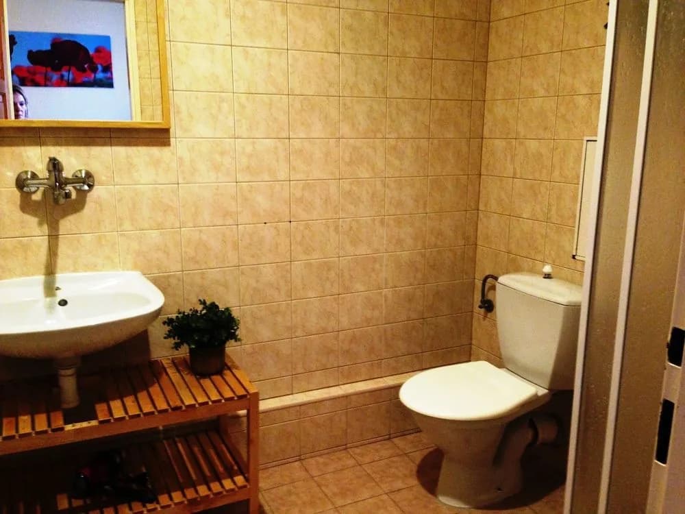 Platan pension - photo 8