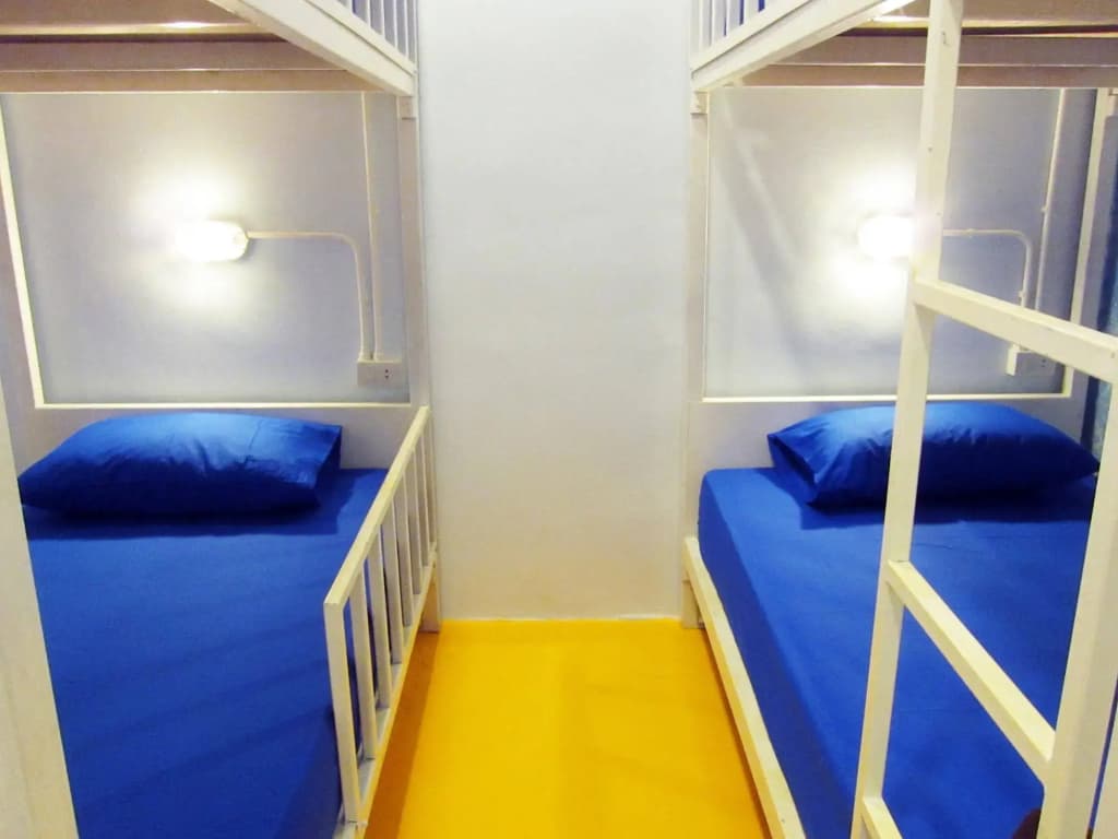 Treechart Hostel - photo 10