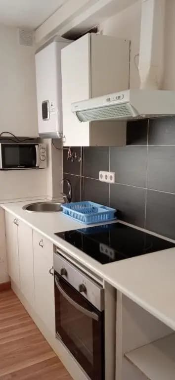 Apartamentos pandiellos I - photo 11