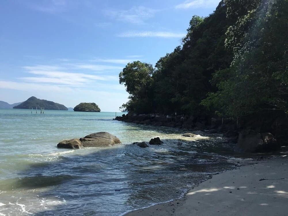 Wild Pasir Panjang - photo 14