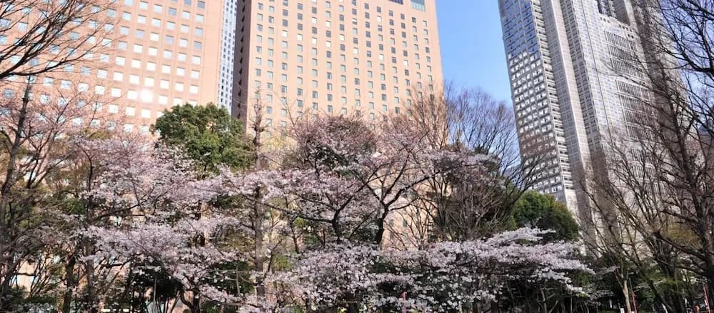 Tokyo Urban Flat Hotel 101 - photo 15