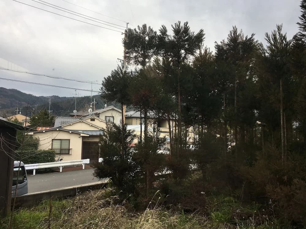 Saga Ikkyu - photo 11