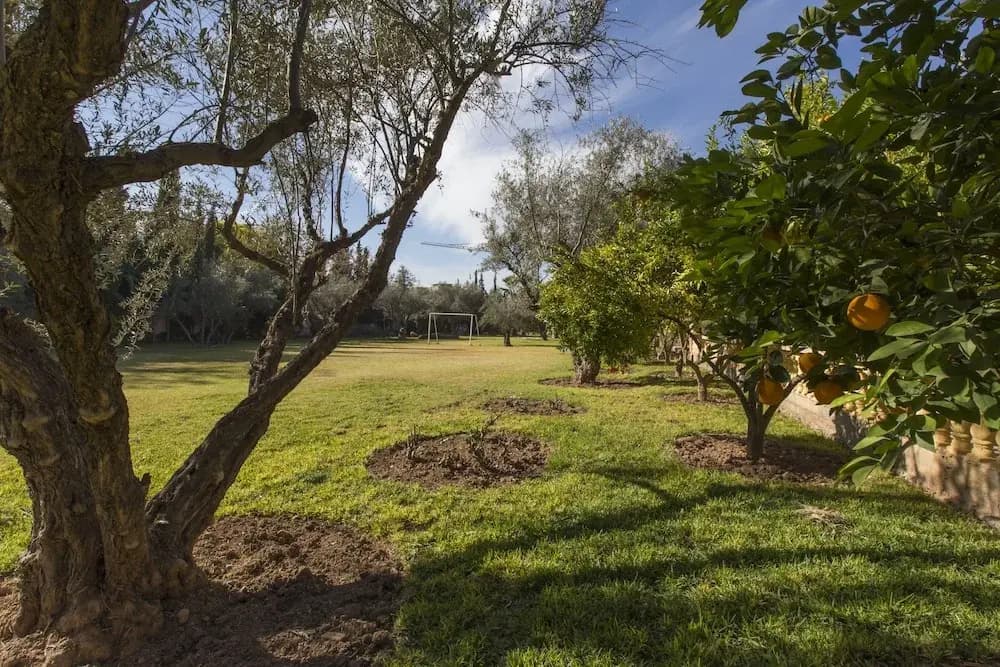 Villa Zahra - photo 25