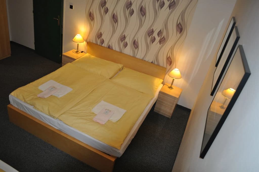 Hotel Svornost - photo 6