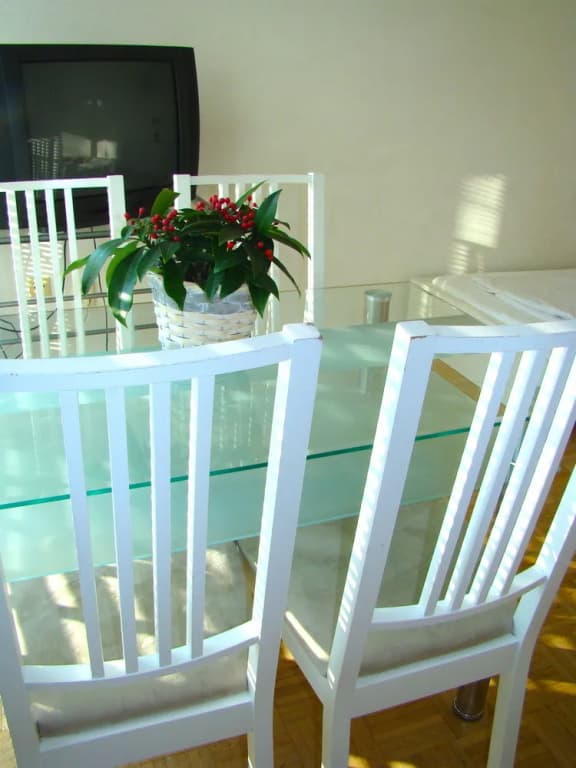 BNB near Brandenburg Gate - photo 25