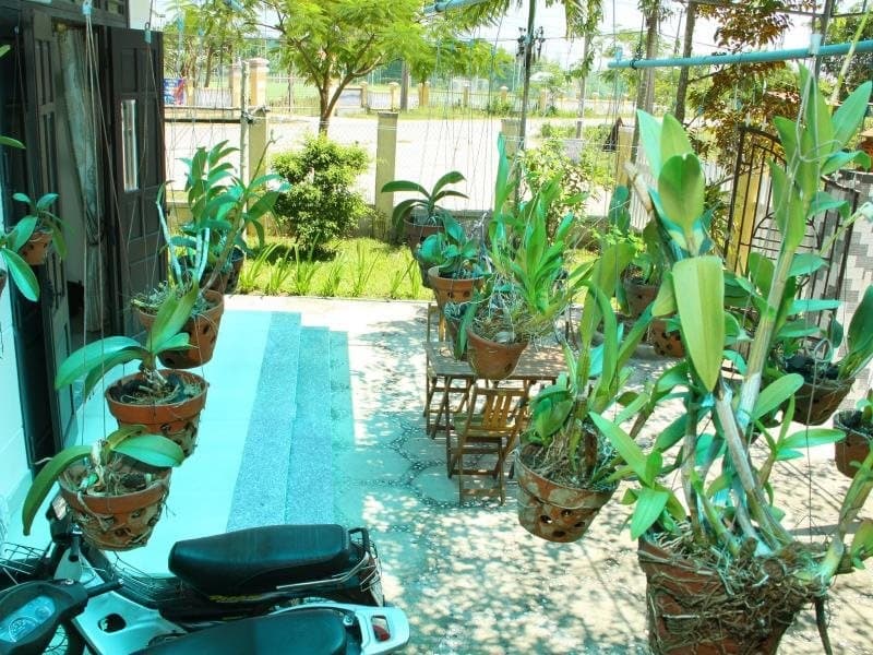Thuan Phong Homestay - photo 13