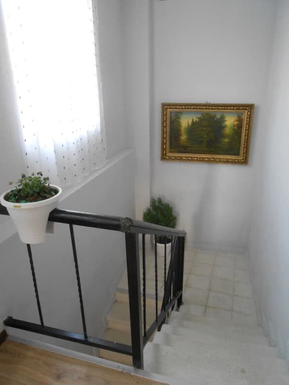 Caucasuoni - photo 11