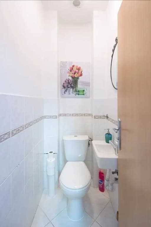 Spasious Apartment in Prague - photo 9