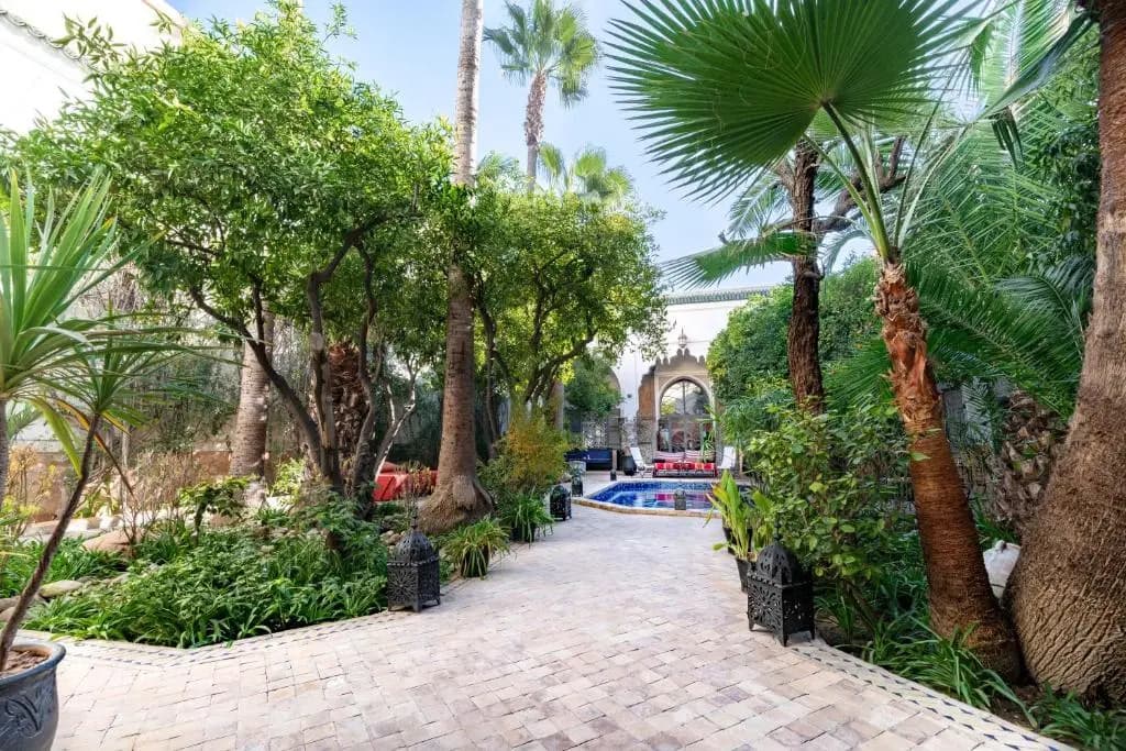 Riad Laila - photo 9