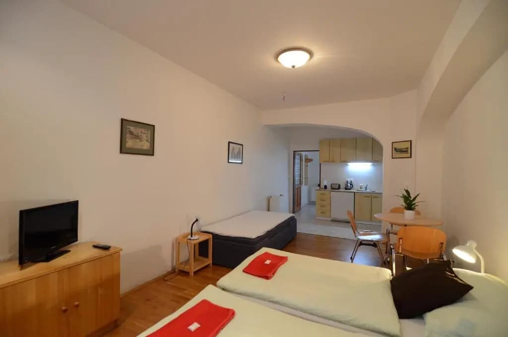 Apartments Karlin - photo 4