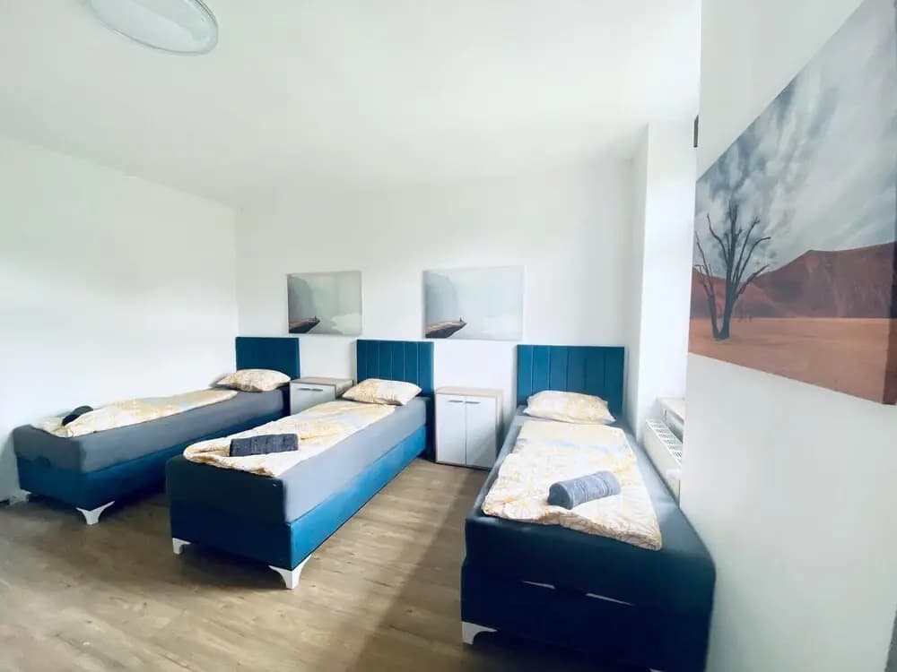 Spacious 4BR for 15 & 15 Min to Danube - photo 13