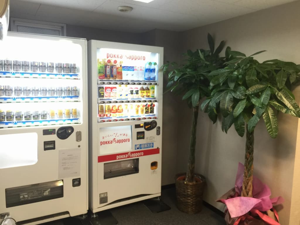Hotel Livemax BUDGET Omori Ekimae - photo 8