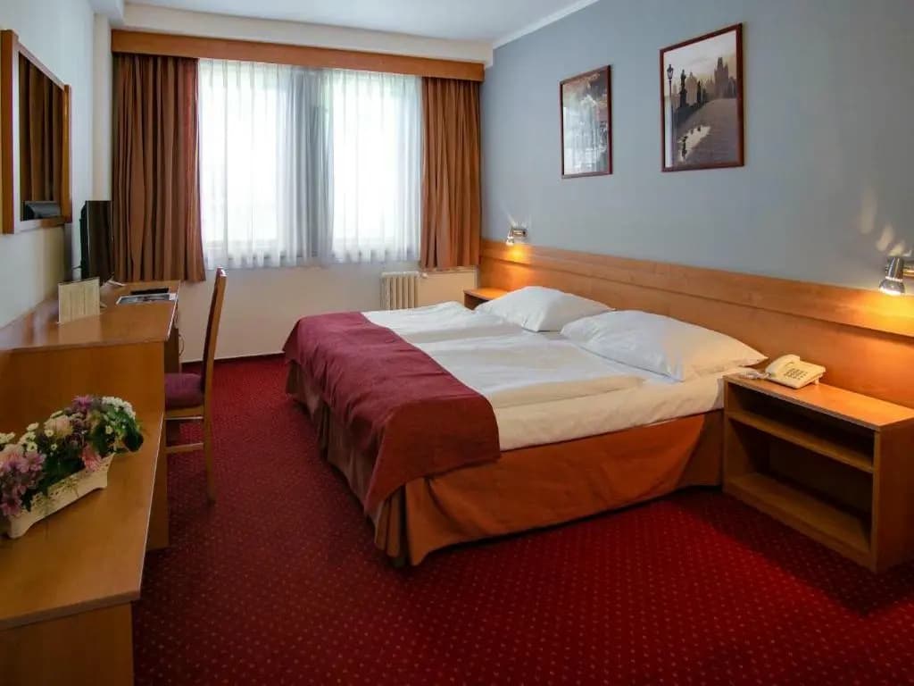 Hotel Globus - photo 27
