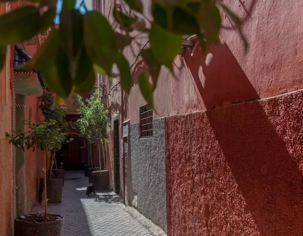 Riad Soleil - photo 24