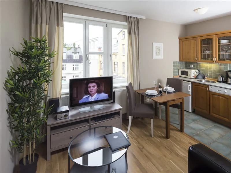 Apartments Wenceslas Square - photo 2