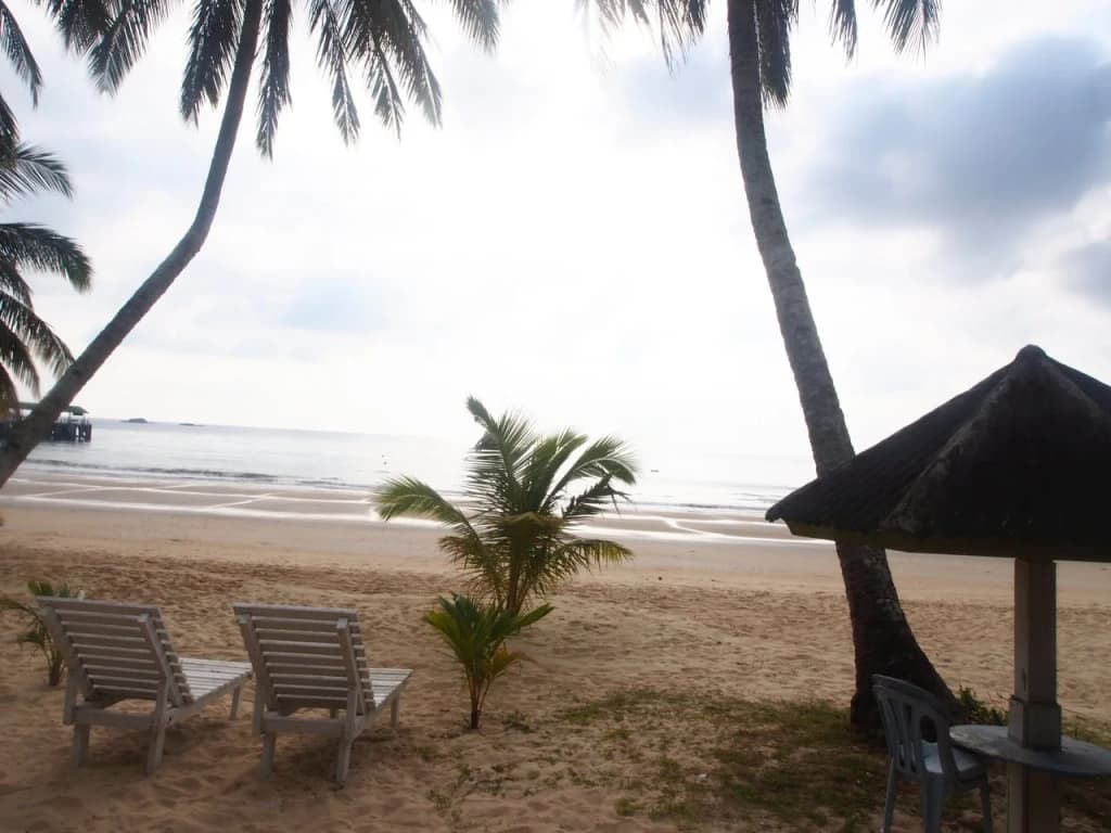 Juara Mutiara Resort - photo 11
