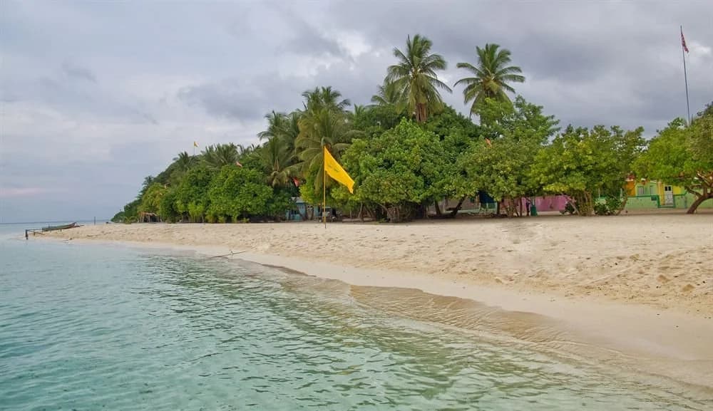 Thundi Sea View - photo 30