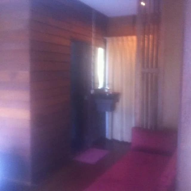 Cape Cafe Bungalow - photo 10