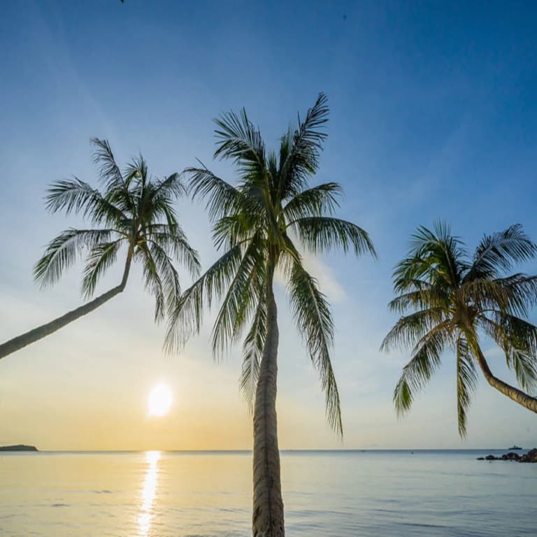 Samui Paradise Chaweng Beach Resort - photo 17