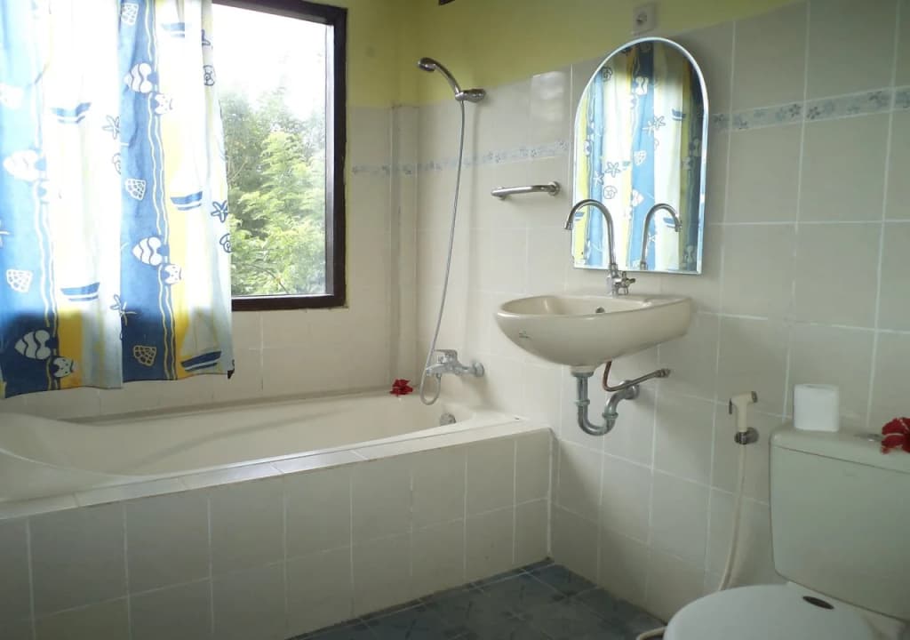 Ala's Green Lagoon Hotels - photo 10