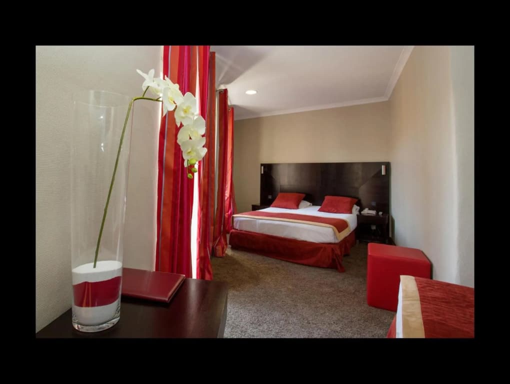 Hôtel de Suède - photo 21