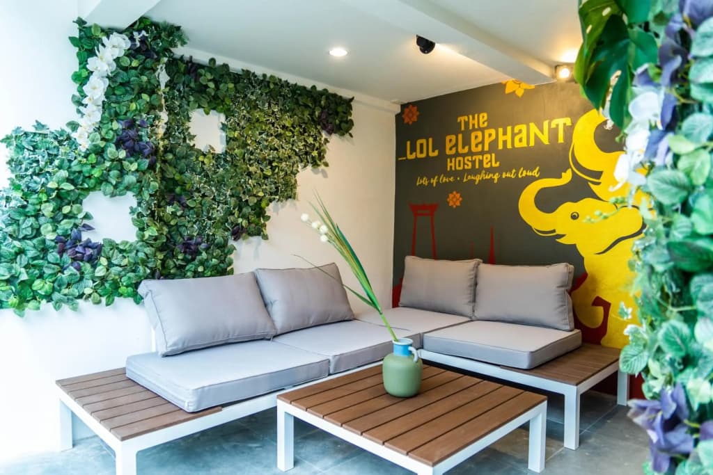 The LOL Elephant Hostel - photo 10