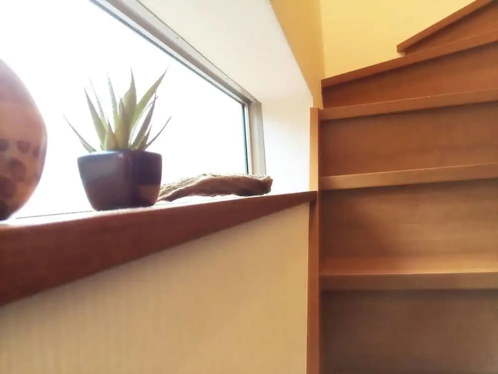 nid Shimanouchi House - photo 10