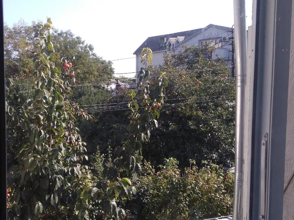 Apartment Avlabari (In old Tbilisi) - main photo