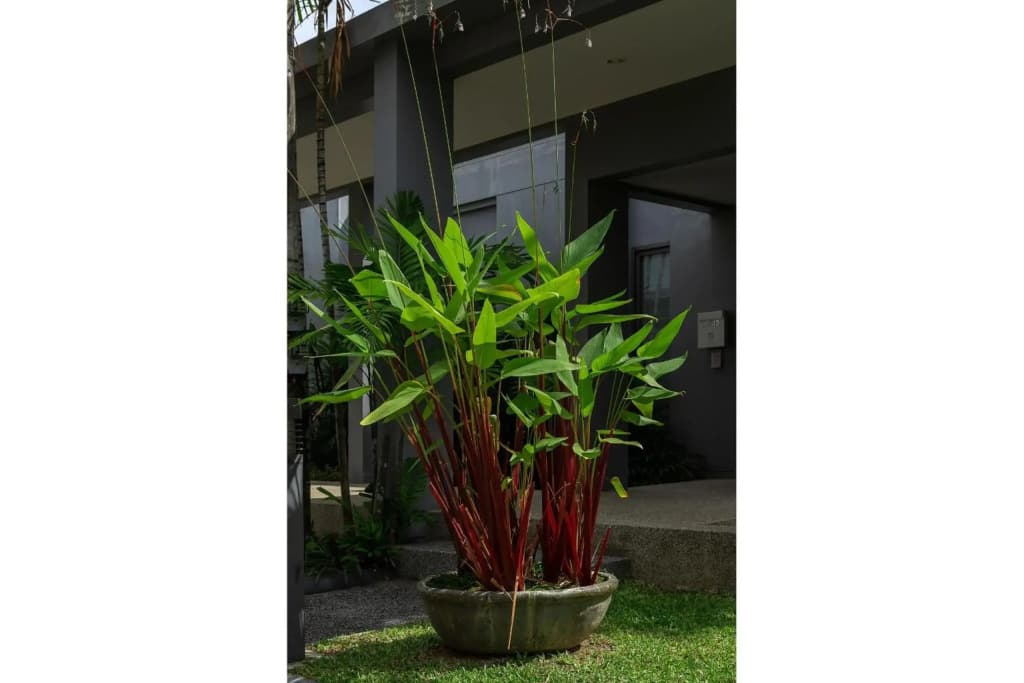 Villa Galam - photo 17