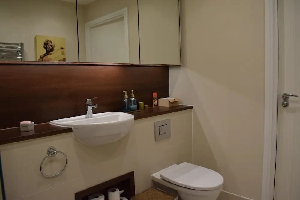 Modern Flat in Canada Water - photo 7