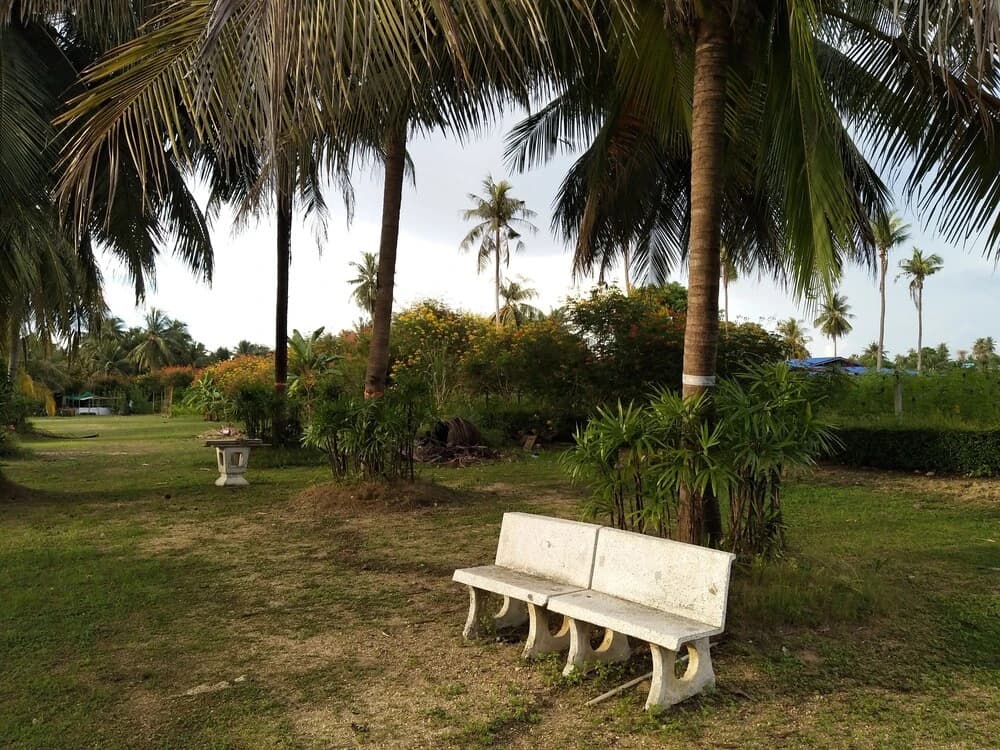 Yoo Sabai Resort - photo 23