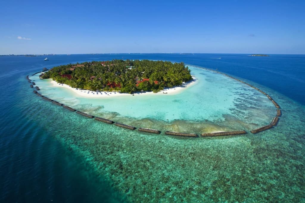 Niva Kurumba Maldives Resort - photo 15