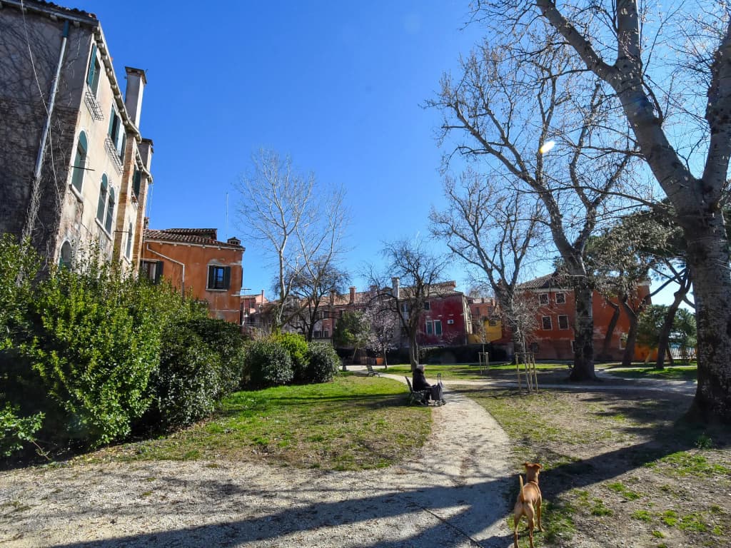Casanas - photo 17