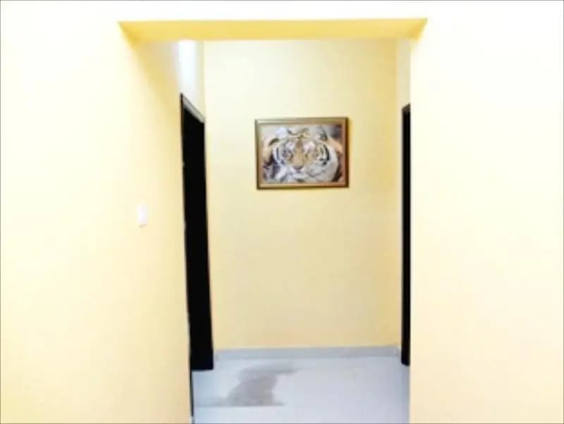 Tiger Home Hotel Apartments - photo 14