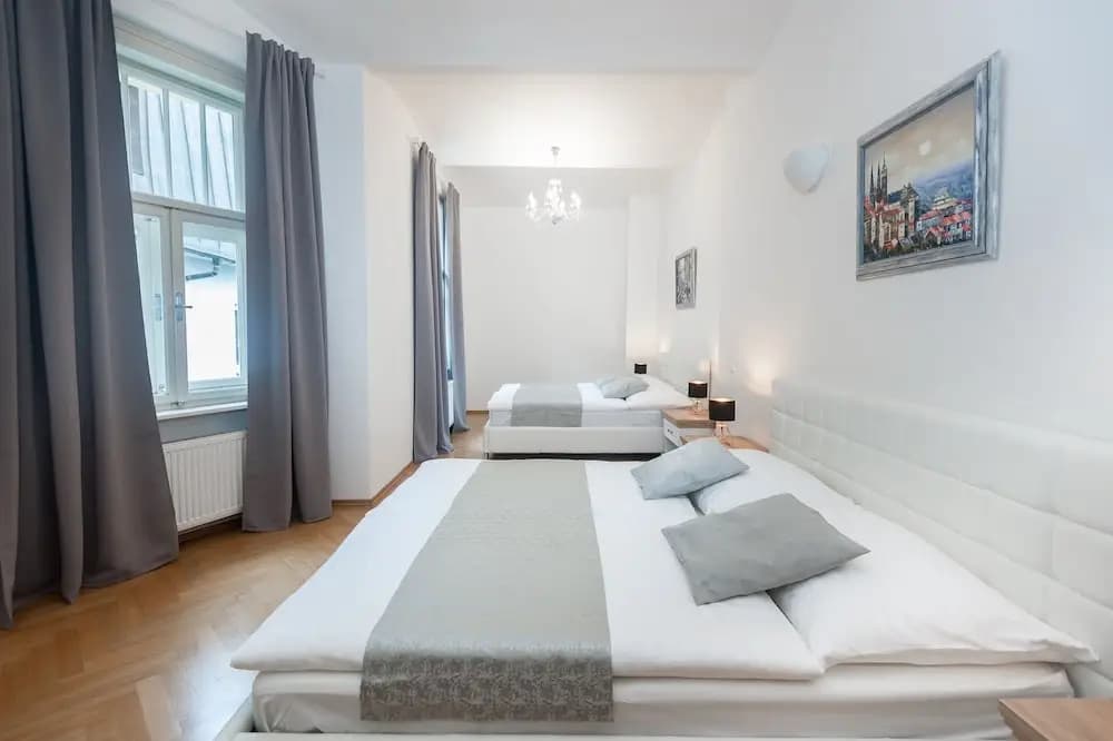 Slovansky Dum Boutique Apartments - photo 5