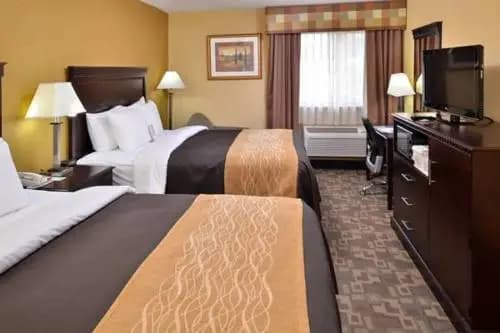 Tropicana - photo 5