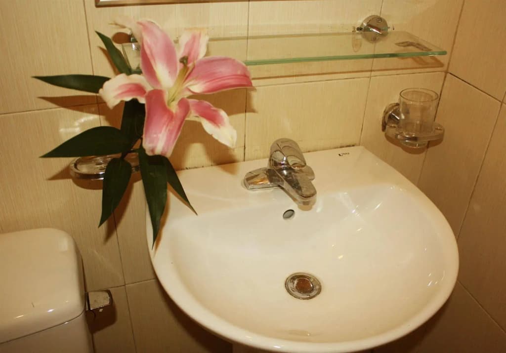 Real Hanoi Hotel - photo 6