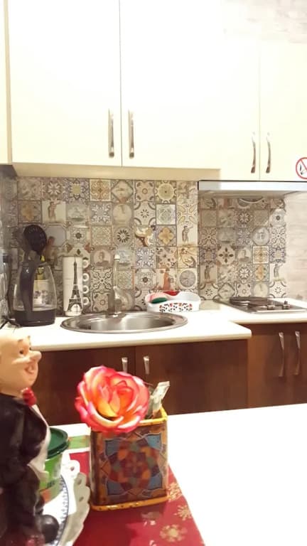 Rose apartment - photo 28