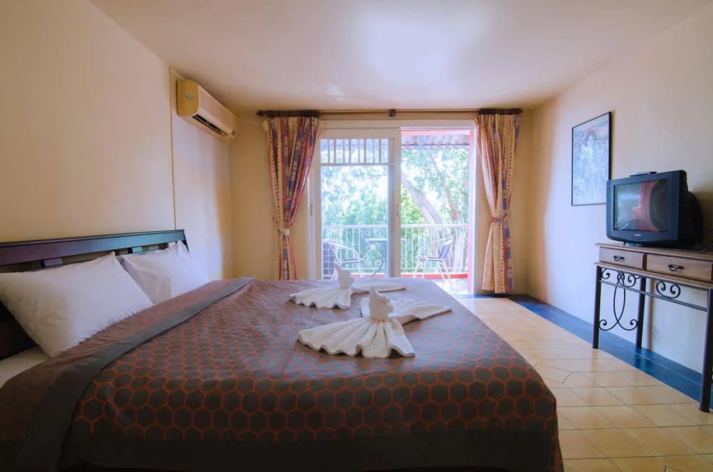 Anda Orange Pier Guesthouse - photo 4