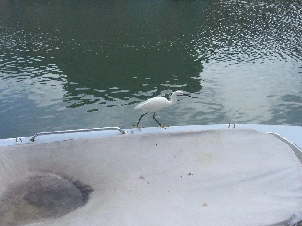 Ca' del Pomo Granà - photo 13