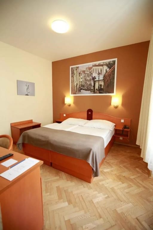 Hotel Merkur - Czech Leading Hotels - photo 9