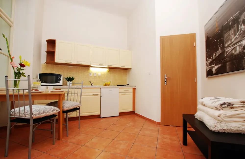 Cimburkova Apartments - photo 3