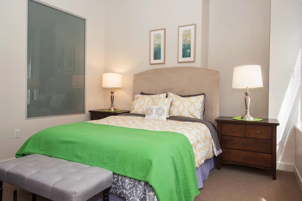 Sunshine Suites At 417 - photo 2