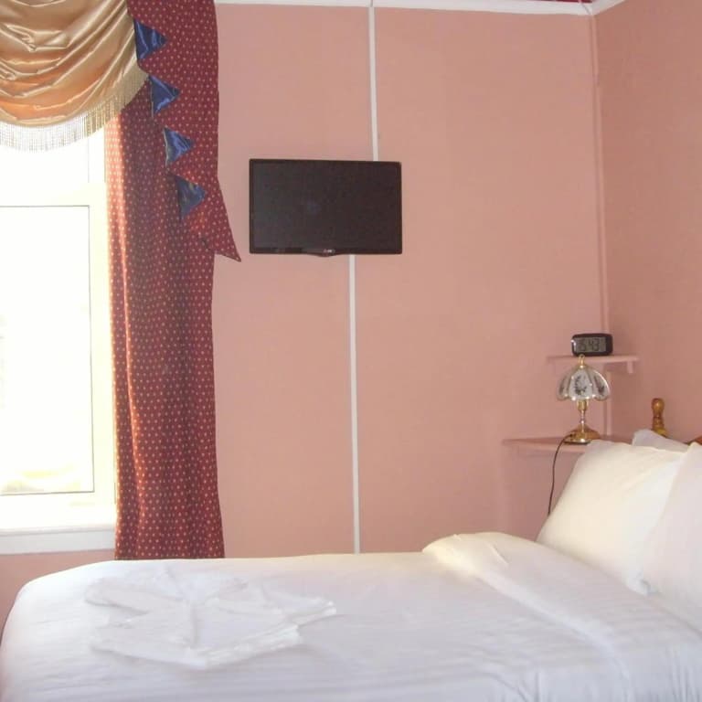 Twin Lions Hotel - photo 42