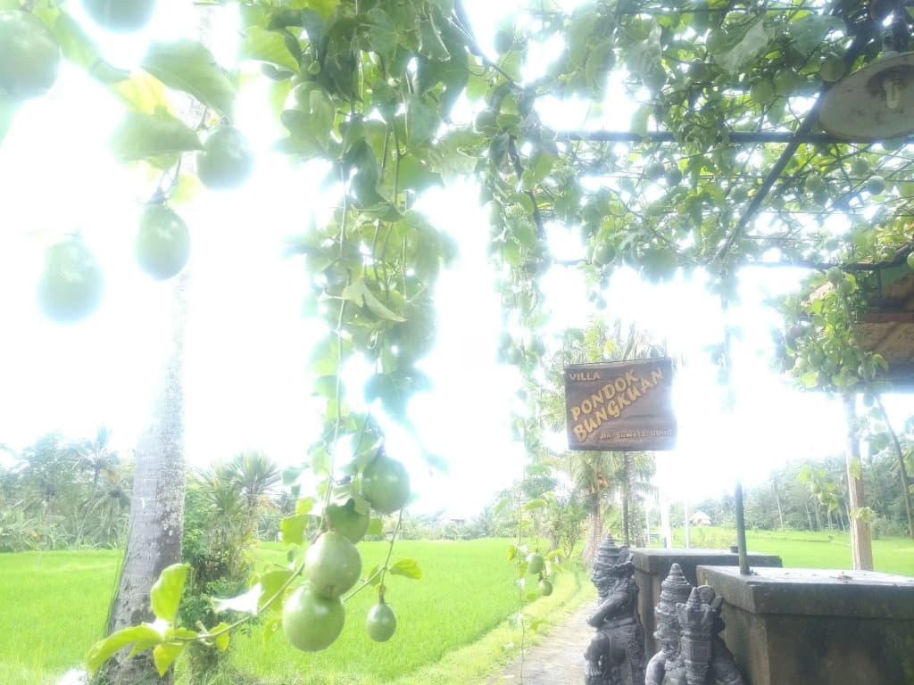 Pondok Bungkuan - photo 12