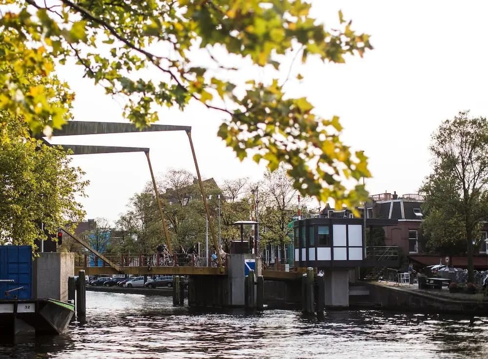 SWEETS - Theophile de Bockbrug - photo 9